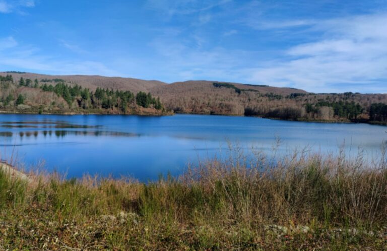 Dal lago Metramo al bagno nella foresta: l’escursione di Vivi Serra San Bruno tra storia, natura e… ingegneria