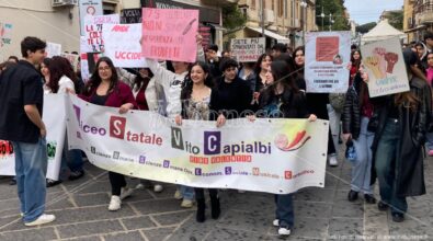 «La Scuola non parla di femminicidi», a Vibo Valentia gli studenti scendono in piazza contro la violenza di genere – VIDEO