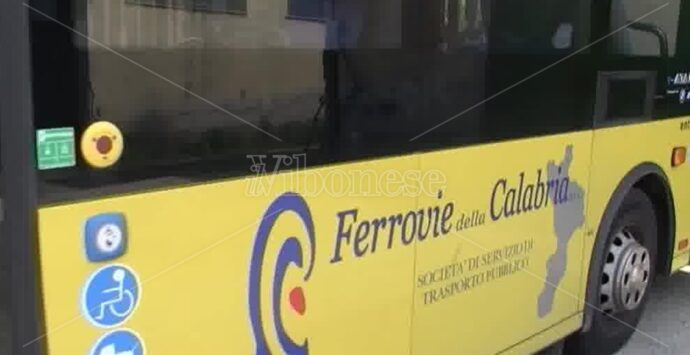 Vibo, l’autobus cittadino che gira a vuoto da anni senza orari né indicazioni sul percorso. Il sindaco Romeo: «Spreco assurdo» – VIDEO