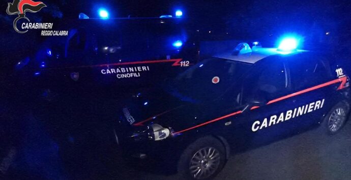 Alleanza per la droga tra le cosche, maxi operazione contro la ‘ndrangheta: 97 arresti in tutt’Italia, anche a Vibo – NOMI e VIDEO