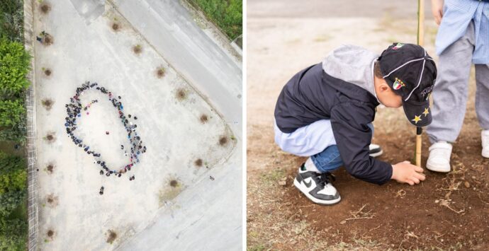 Giornata della Terra, a Filogaso la Fondazione Augurusa e i bambini delle scuole piantano 20 alberi