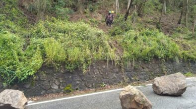 Maltempo nel Vibonese, la Protezione civile della Calabria in campo per sicurezza e viabilità