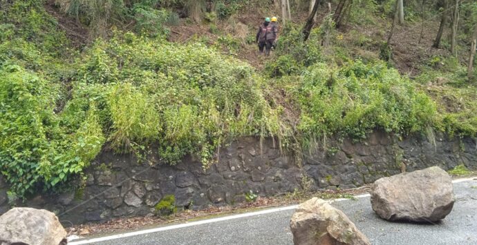 Maltempo nel Vibonese, la Protezione civile della Calabria in campo per sicurezza e viabilità