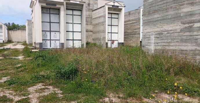 Sant’Onofrio, l’ex consigliere Mattioli denuncia: «Sterpaglie e degrado al cimitero, s’intervenga»