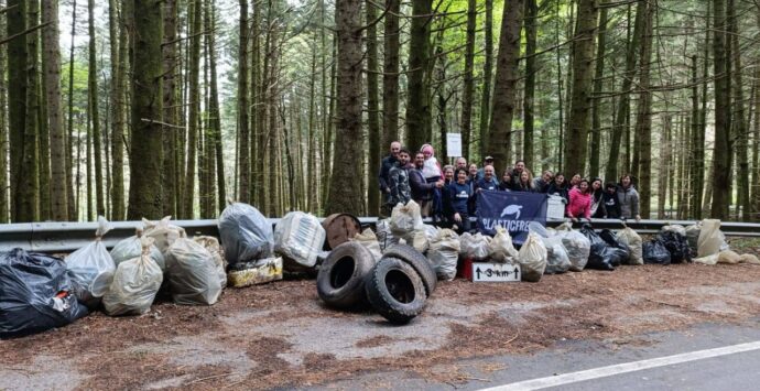 Serra San Bruno, i volontari di Plastic free rimuovono 2 tonnellate di spazzatura: «Ora la nostra montagna respira»