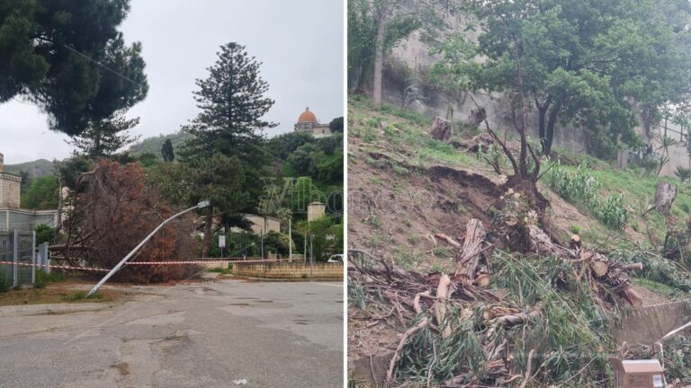 Maltempo a Tropea, le forti raffiche di vento sradicano tre alberi. Divelto anche un lampione