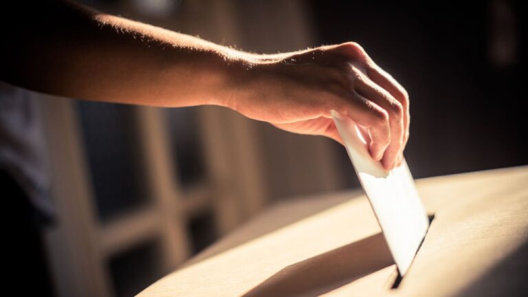 Referendum, il Comune di Vibo sposta le sezioni elettorali per lavori di riqualificazione nelle scuole: ecco dove votare l’8 e 9 giugno