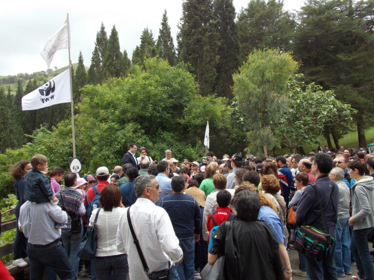 Il Wwf celebra i 50 anni dell’oasi del lago Angitola con una giornata tra natura, musica e memoria