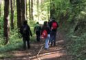 Serra San Bruno, entra nel vivo la stagione escursionistica di IncrociaMenti: 15 km di bellezze tra natura e storia