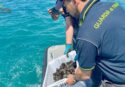 Pescano ricci di mare lungo la Costa degli dei: sorpresi dalla Finanza scappano ma gli agenti li raggiungono a nuoto