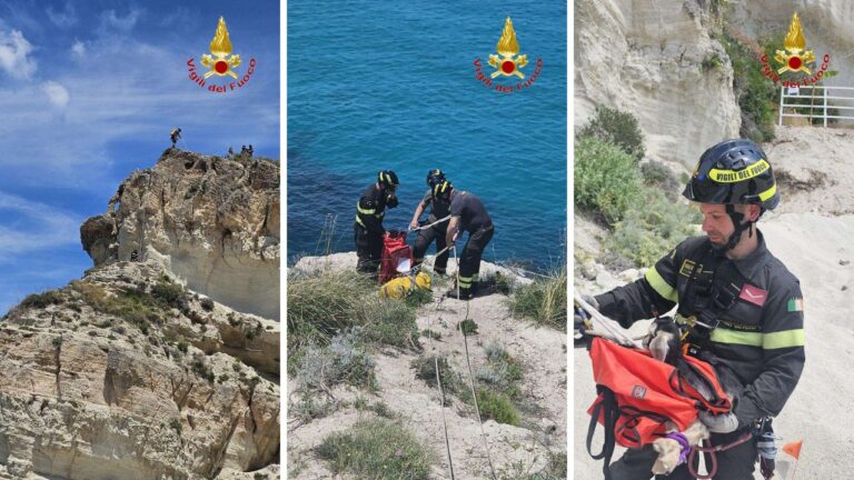 Ricadi, i vigili del fuoco e gli speleologi del Saf salvano una capretta in difficoltà su una scogliera a strapiombo