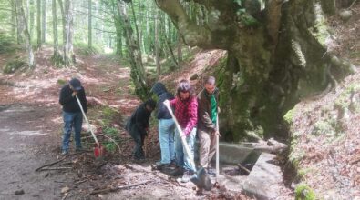 Serra San Bruno, i volontari di IncrociaMenti in campo per rimettere in sesto il rifugio “Scagghjuni” 