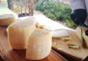 Il cambiamento climatico minaccia anche il Pecorino del Poro: il formaggio Dop vibonese protagonista dello Slow Food Day 2025