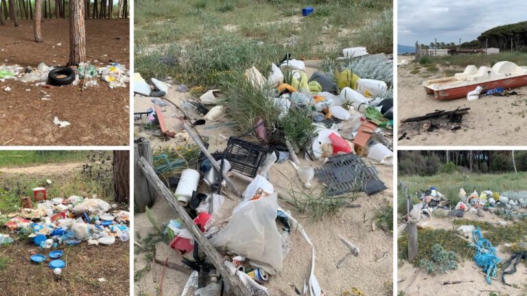 Un tappeto di spazzatura: la bellezza selvaggia della pineta Colamaio di Pizzo sfregiata nell’ultimo weekend festivo