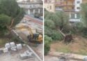 Abbattuti all’alba i pini di piazza Salvemini (Consorzio agrario): il VIDEO delle ruspe in azione