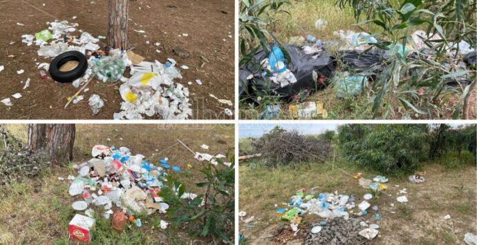 Pizzo, pineta Colamaio come una discarica a cielo aperto: «Da Pasquetta cumuli di rifiuti ovunque e nessuno interviene»