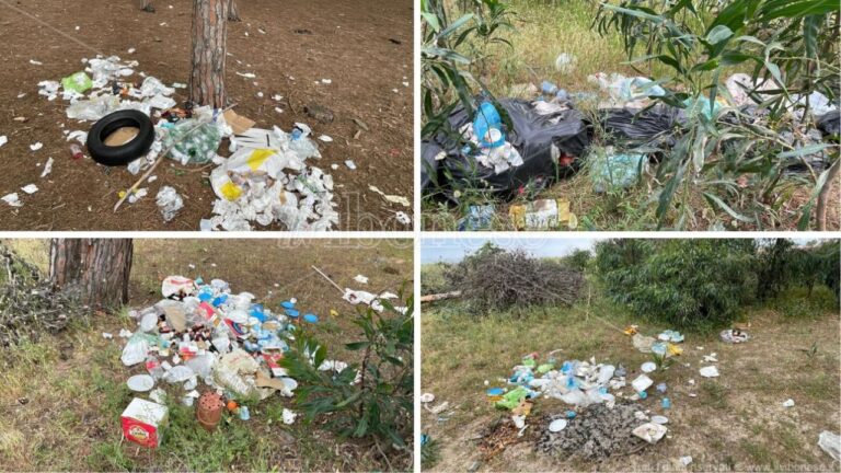 Pizzo, pineta Colamaio come una discarica a cielo aperto: «Da Pasquetta cumuli di rifiuti ovunque e nessuno interviene»