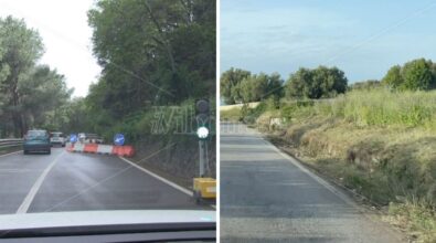 Senso unico alternato che va (sulla Ss 18), senso unico alternato che viene (sulla Pizzo-Maierato): ordinanza della Provincia