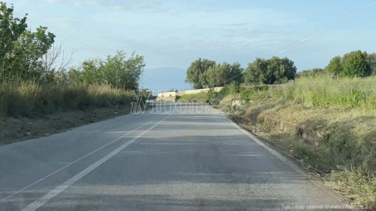 E riapertura fu: revocati i divieti di transito sulla Pizzo-Maierato. L’Andolina (Provincia): «Siamo intervenuti anche ad Acquaro»