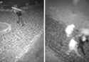 Vandalizzato il “Giardino degli Dei” di Capo Vaticano: le telecamere di sicurezza riprendono i balordi in azione
