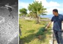 Vandali nel Giardino degli Dei, l’amarezza del gestore: «Se hanno la forza di fare questo perché non vengono a lavorare con noi?» – VIDEO
