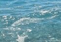 Con l’estate a Zambrone torna pure la schiumetta: parcheggi carissimi, mare sporco e turisti arrabbiati