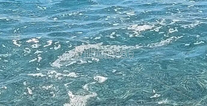 Con l’estate a Zambrone torna pure la schiumetta: parcheggi carissimi, mare sporco e turisti arrabbiati