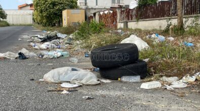 Sporcizia e degrado nei pressi dei mercati generali di Vibo Valentia, la denuncia di un cittadino: «Non ci tornerò più»