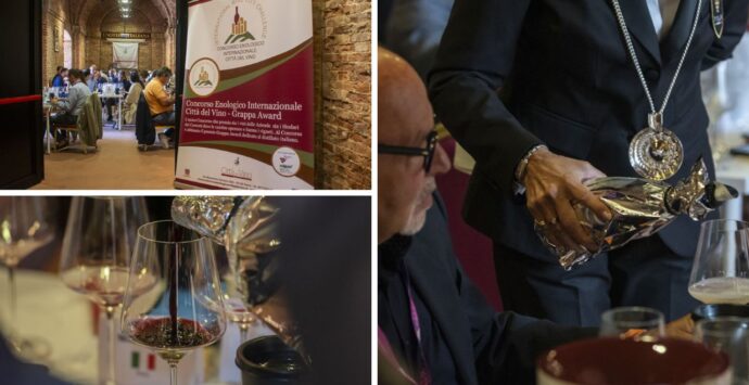 Vini vibonesi tra premi internazionali e una nuova Doc: Zibibbo e Magliocco canino conquistano ancora una volta la scena enologica