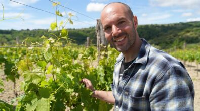 Le Cantine Benvenuto di Francavilla Angitola trionfano al concorso Radici del Sud: conquistati 4 premi