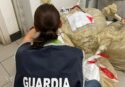 Vibo, sequestrato oltre un quintale di pesce in un ristorante orientale. Multa da 1500 euro per carenze igienico sanitarie