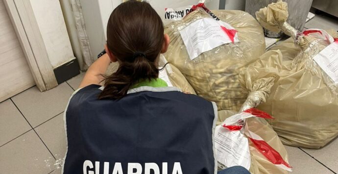 Vibo, sequestrato oltre un quintale di pesce in un ristorante orientale. Multa da 1500 euro per carenze igienico sanitarie