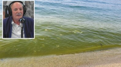 Inquinamento, il biologo Greco: «Depuratori? Sono solo il 30% del problema. La colpa è degli scarichi illegali che arrivano a mare»