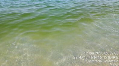 A Pizzo il mare è già verde. Arpacal: «Microalghe proliferano con il cambiamento climatico. E andrà sempre peggio»
