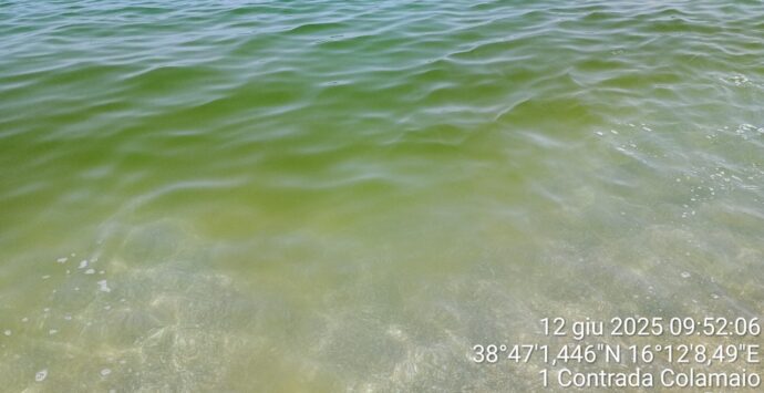 A Pizzo il mare è già verde. Arpacal: «Microalghe proliferano con il cambiamento climatico. E andrà sempre peggio»