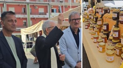 Inaugurato il mercatino rionale dell’Affaccio a Vibo, Romeo e Soriano: «Commercio di prossimità valorizza prodotti locali e quartiere»