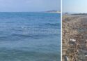 Pizzo, mare sporco e rifiuti sulla spiaggia: «Terra offesa e tradita dall’indifferenza»
