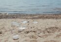 Sulle spiagge vibonesi buste di plastica e contenitori di polistirolo che arrivano da tutto il Mediterraneo