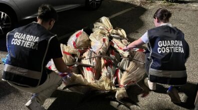 Nuovo sequestro di tonno rosso, tre quintali trovati su un furgone (senza assicurazione) al porto di Vibo Marina