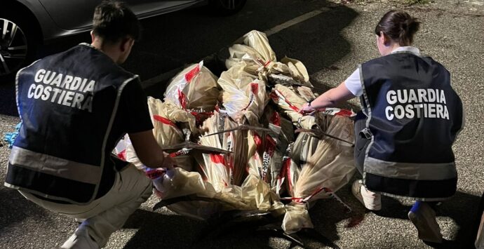 Nuovo sequestro di tonno rosso, tre quintali trovati su un furgone (senza assicurazione) al porto di Vibo Marina