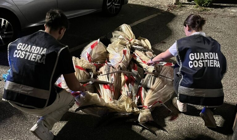Nuovo sequestro di tonno rosso, tre quintali trovati su un furgone (senza assicurazione) al porto di Vibo Marina