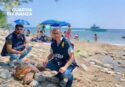 Joppolo, tartaruga marina con una pinna ferita soccorsa e salvata sulla spiaggia di Coccorino