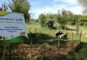 Vibo, ai nastri di partenza la rassegna estiva “La Fattoria delle idee” giunta alla quarta edizione. Ecco il programma