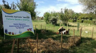 Vibo, ai nastri di partenza la rassegna estiva “La Fattoria delle idee” giunta alla quarta edizione. Ecco il programma