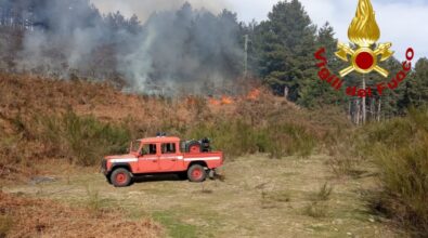 Con i primi caldi arrivano gli incendi: 55 interventi dei vigili del fuoco in Calabria. Operatori al lavoro anche nel Vibonese