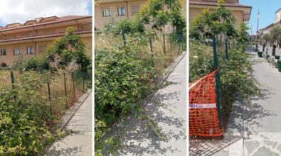Erbacce e degrado sul corso principale, la denuncia di una residente: «Vibo e i suoi cittadini meritano rispetto»