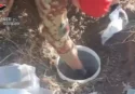 Due fusti pieni di droga interrati scoperti dai carabinieri: sequestrati 30 chili di hashish e pasta di marijuana oltre a un chilo e mezzo di cocaina – VIDEO