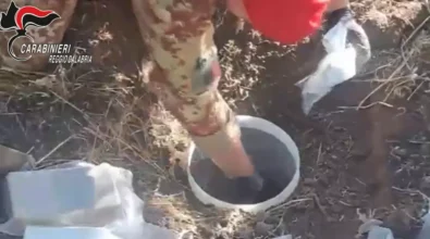 Due fusti pieni di droga interrati scoperti dai carabinieri: sequestrati 30 chili di hashish e pasta di marijuana oltre a un chilo e mezzo di cocaina – VIDEO
