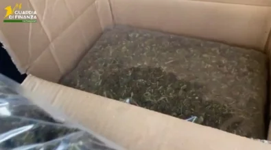 Vibonese sorpreso in auto sull’A2 con 8 chili di marijuana: lo stupefacente scoperto grazie ai segnali lanciati dal cane antidroga