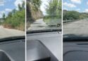 In auto da Mileto a Dinami come in un episodio di Last of Us: il mondo civilizzato scompare in un safari tra buche, rovi e fauna locale